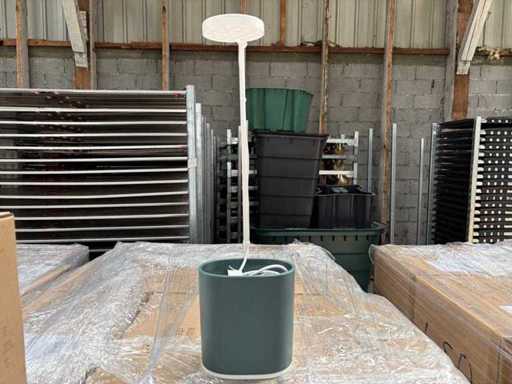 READY TO GROW - Nano Garden - Hydroponic Mini Connected Garden (152x)
