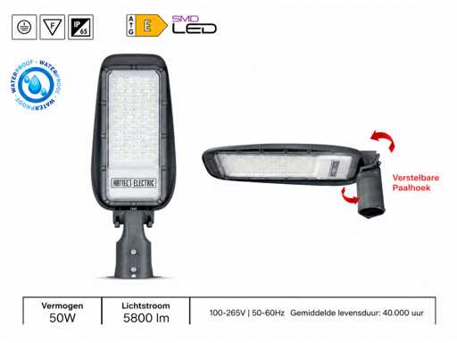 10 x LED latarnia uliczna 50W – 6400K, zimna biel - szary – IP65 – FLORIDA-50