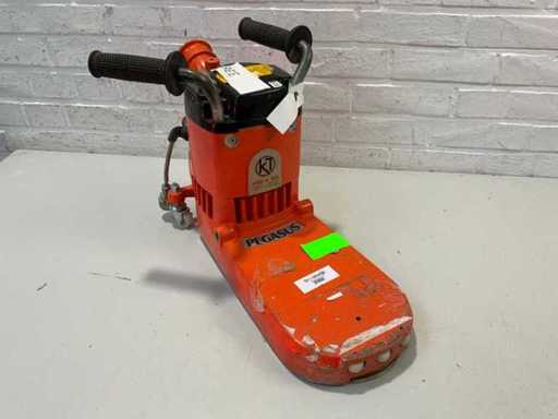 Künzle & Tasin - 2014 - Pegasus - Râșniță electrică cu margini