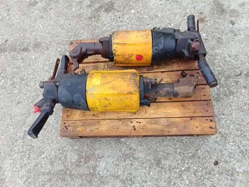 Interruttore pneumatico