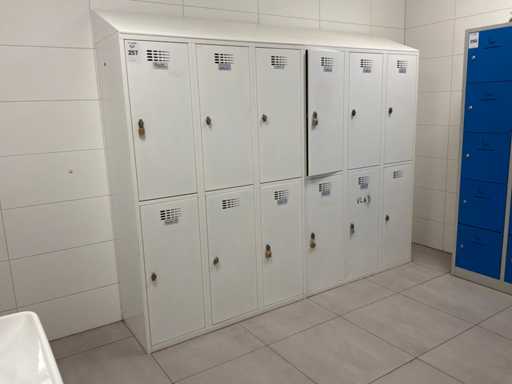 Armadio armadietto (2x)