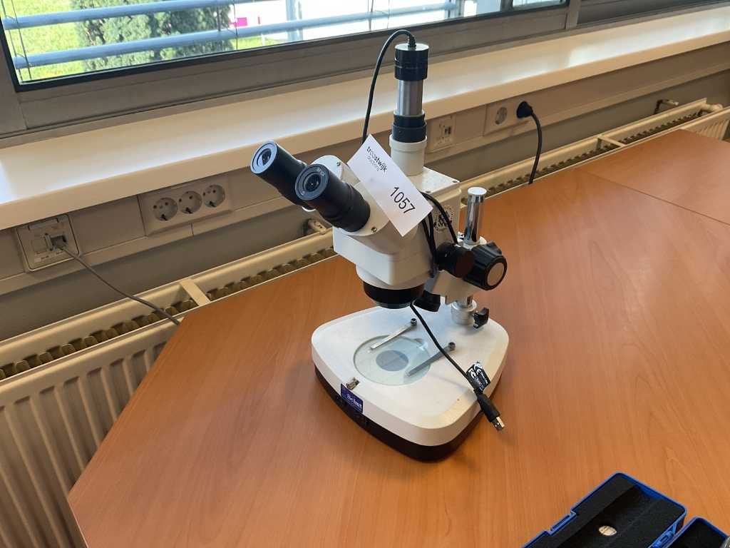 Microscopio Schut Wf10x