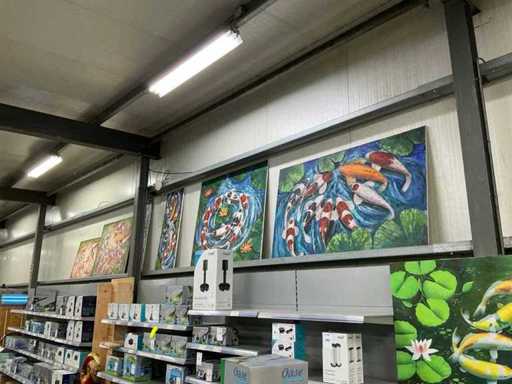 Koi Art Sztuka ścienna (18x)