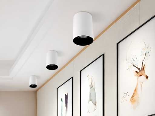 Luminaire spot monté en surface GU10 (40x)