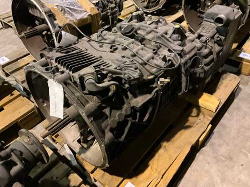 HOMME Boîte de vitesses ZF ASTRONIC