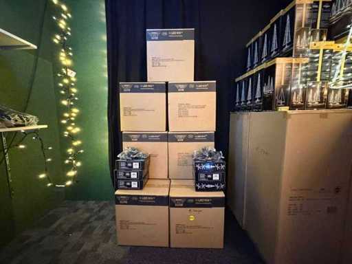 Ledwin Cluster Kerstverlichting / Buitenverlichting (101)