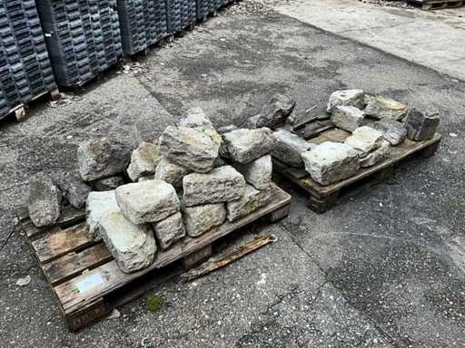 Lot of Leftover Bricks - Various Inventory