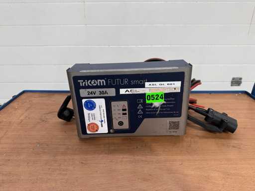 Chargeur de chargeur de chariot élévateur électrique Tricom Futur Smart 24V 30A 2020 Fourmis Smart 24V 30A