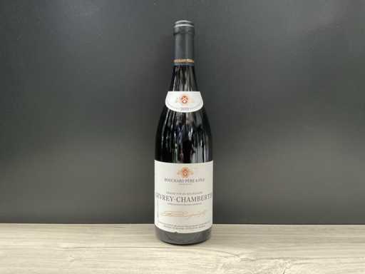 Bouchard Père & Fils Gevrey-Chambertin 2019