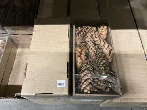 Partia ozdobnych szyszek sosnowych (36x)