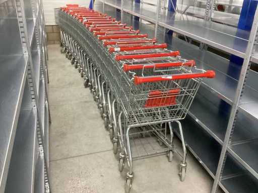 Partij winkelwagens (18x)