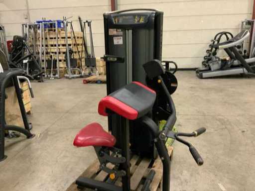 Elektrownia Matrix Versa Bicepscurl