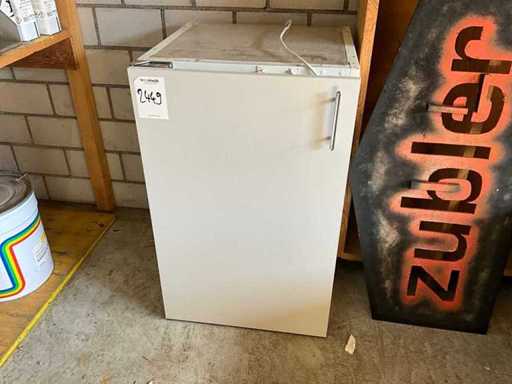 Frigiderul Bauknecht