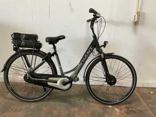 Giant Ease-e Elektrische fiets