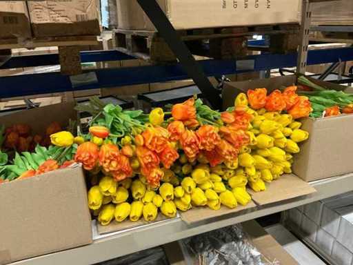 Party Bunch of Tullips (58x)