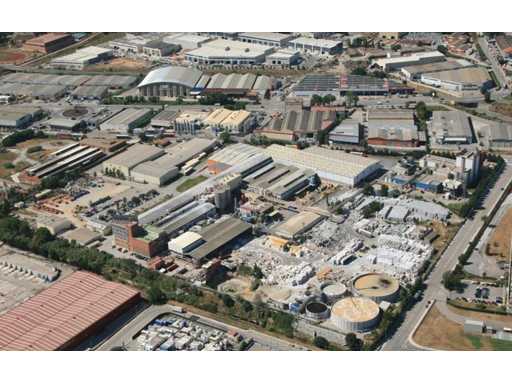 Pianta completa in vendita