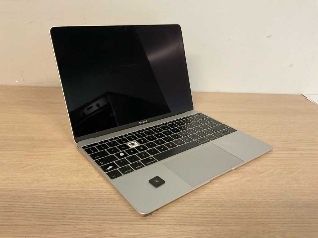 Apple laptop MacBook10,1