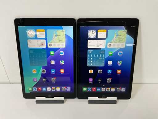 Apple iPad 7ª Generazione - WiFi + Cellulare - 32 GB - Grigio Siderale (2x)