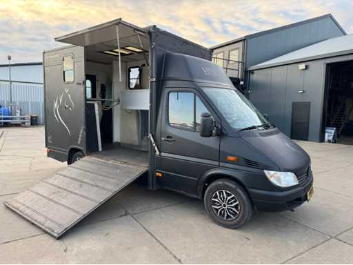 2002 Mercedes-Benz Sprinter 903,6 P Pferdewagen