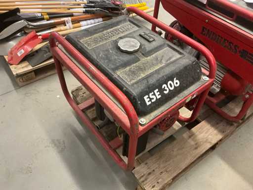Gruppo elettrogenerante Endress ESE 306 2014