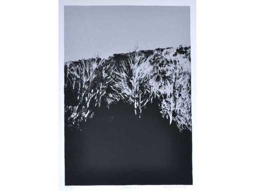 Rob Bruyninckx - serigrafie