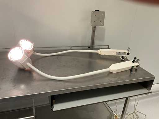 Derungs Halux 50 P SX Kältelampe (2x)