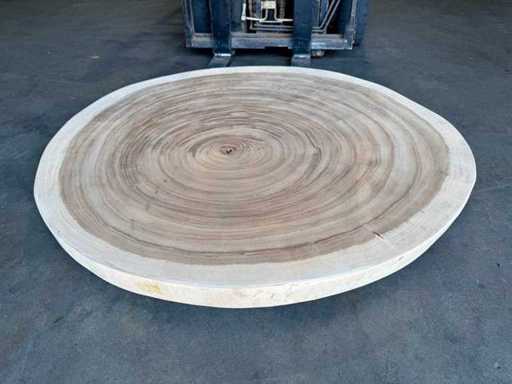 Foglia rotonda di suar 125 cm