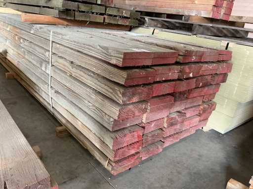 Planche fécondée de Douglas (80x)