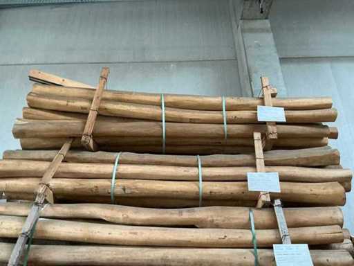 Robinia paal (25x)