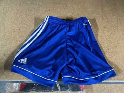 Party Adidas Shorts (14x)