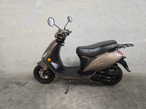 DTS - Snorscooter - Monza - 4T 25km uitvoering fhg08l