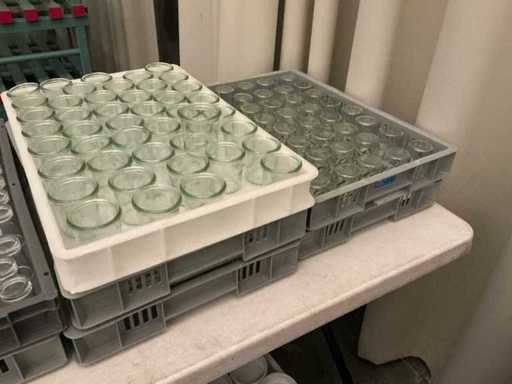 Lot of snacks glasses (200x)