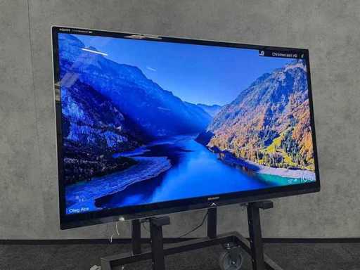 SHARP Aquos - monitor de 60" cu montare pe perete