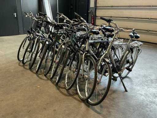City bike (10 volte)