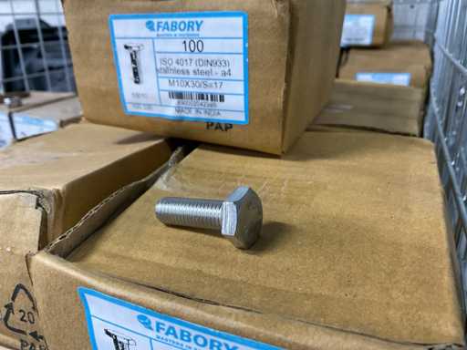 Fabory M10 x 30 Bouten (1300x)