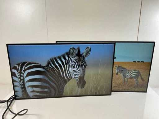 Moniteurs IPS Dell (U2722DE) 27", 2560x1440 (QHD) (2x)