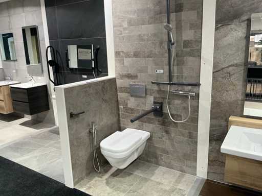 Setup di bagni per disabili Geberit / Delabie