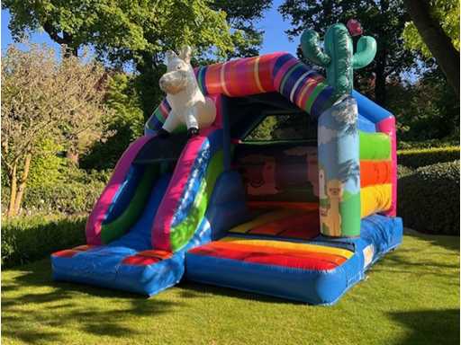 Springkasteel Alpaca - Overdekt met glijbaan