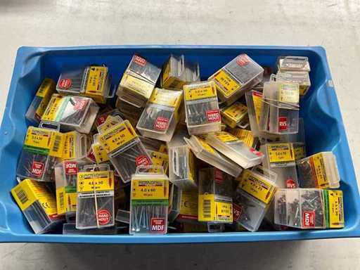 Rotadrill Verschiedene Schrauben aus Edelstahl, verzinkt und Messing in Blase (100x)