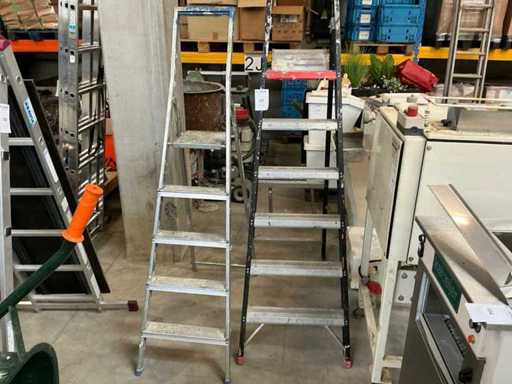 Altrex și Brabantia Stepladder (2x)