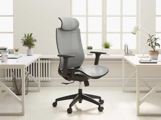 Chaise de bureau ergonomique
