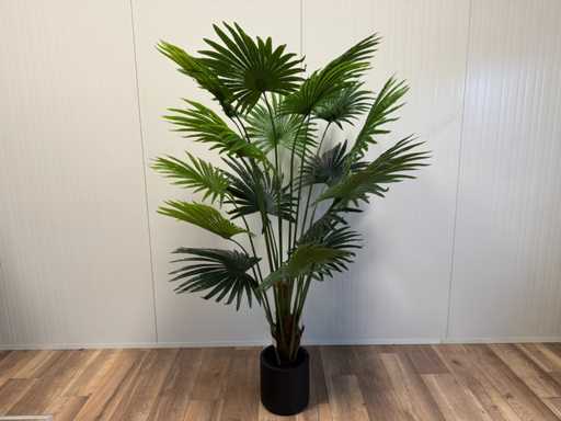 Sztuczna roślina Real touch Fan Palm (wysokość 180 cm)