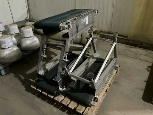 Case Packing Conveyor (3x)