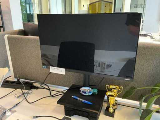 Iiyama / Samsung Monitor 24 pollici (2x)