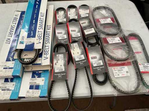 Lotto di varie cinghie di distribuzione