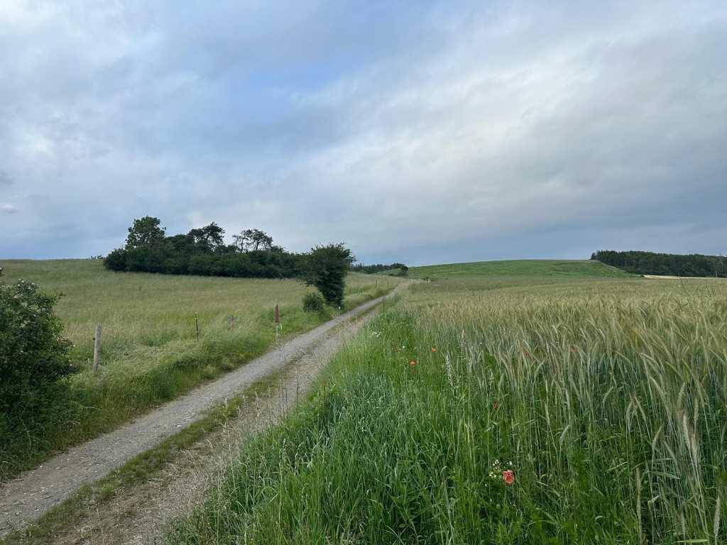 Natuur pur sang: klein groen perceel van 940 m2