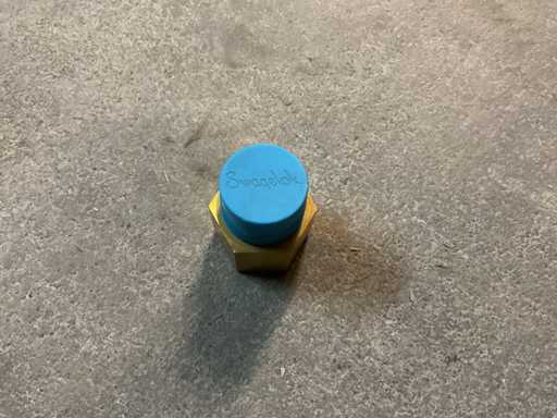 Adapter 1“ISO-keg.-1“NPT (5x)