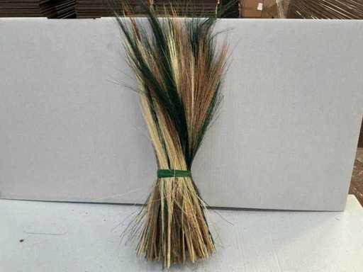 Broom Grass Green / buchet albit (136x)