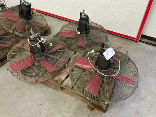 Ventola Facta (3 volte)