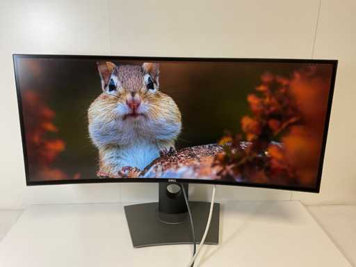 Dell (U3419W) 34", 3440x1440 (UWQHD) IPS Curved Monitor